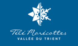 Logo Trient Martigny Volley
